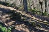 DSC_0059_2.jpg
