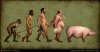 evoluzione-della-specie.jpg