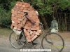bici indiane.jpg