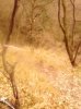 IMG_20140303_144506_2.jpg
