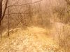 IMG_20140303_144521_2.jpg
