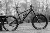 large_IMG_6589_comp-2.jpg