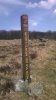 WP_20140406_009.jpg