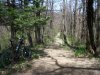 100_6498.jpg