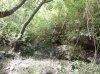 DSCN3863.jpg