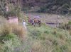 CAM00200.jpg