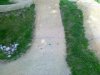 17052014100.jpg