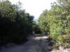 DSCN3889.jpg