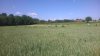 WP_20140524_002.jpg