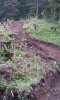 20140528_133631.jpg