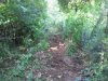 2014-06-06 08.18.17.jpg