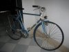 Atala 002.jpg