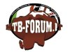 logo_mtb-forum.jpg