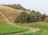 2006.10.08-panoramico.jpg