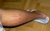 pin tatoo.jpg