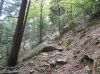 DSCN1886.jpg