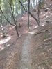 CAM00446.jpg
