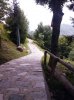 CAM00447.jpg