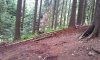 20140723_103229.jpg
