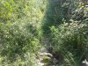 20140728_105349.jpg