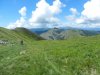 DSCN8246.jpg
