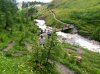 IMG_0023.jpg