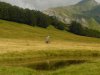 WP_000881.jpg