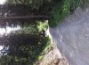 20140805_104850.jpg