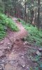 20140810_113542.jpg