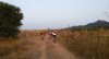 20140810_195829.jpg