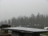 IMG_4848.jpg