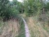foto 2.jpg