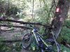 20140821_103234.jpg