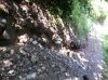 20140821_115541.jpg