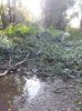 20140828_183010.jpg