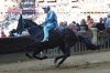 Bumbury al palio.jpg