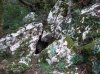 100_2694.jpg