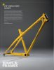 BTR-DT100-14UK-700x909.jpg