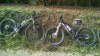 IMG_20141019_112559329.jpg
