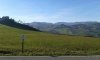 foto 1-34.jpg