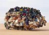 camion-sovraccarico-in-india.jpg