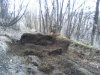 P10-01-15_11.46.jpg