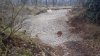 20150115_105019.jpg