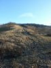 IMG-20150124-WA0016.jpg