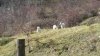 20150131_124837.jpg
