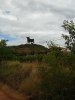 DSCN1131.jpg