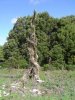 DSC05246m.jpg