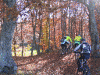 2005.10.30-tartufo-day-web2.gif
