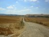 DSCN1176.jpg