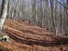Immagine 026.jpg